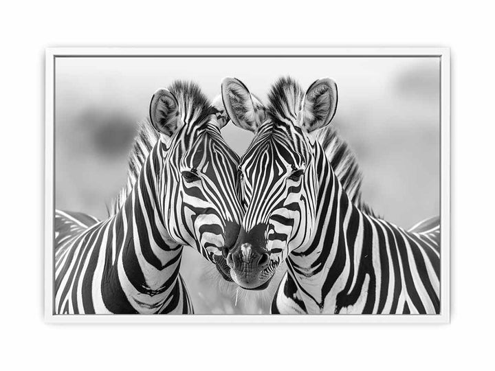 Two Zebras Framed Print