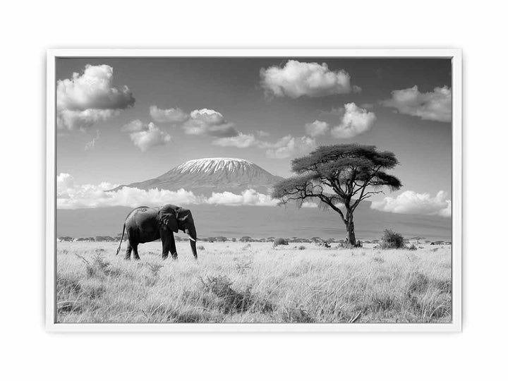 Lonely Elephant Framed Print