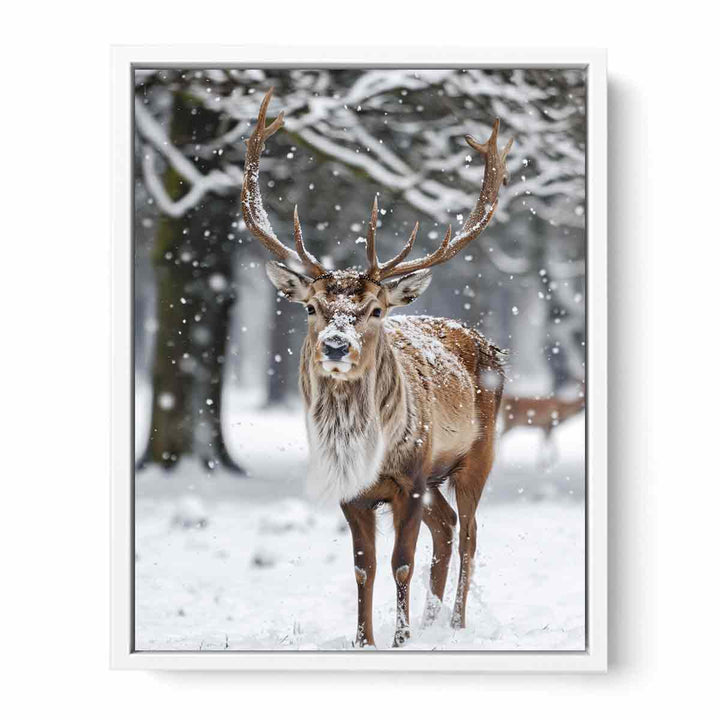 Reindeer  in Snow Framed Print