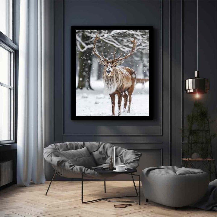 Reindeer  in Snow 