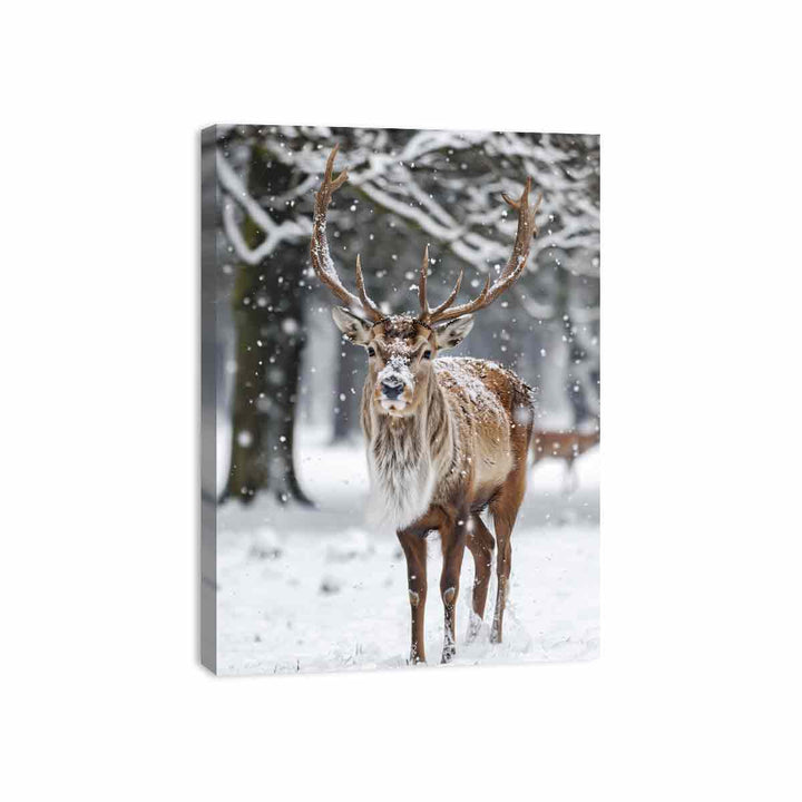 Reindeer  in Snow Canvas Print