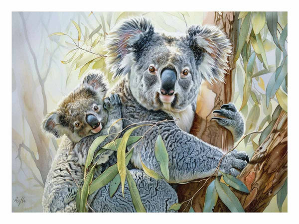 Koala Cute Baby