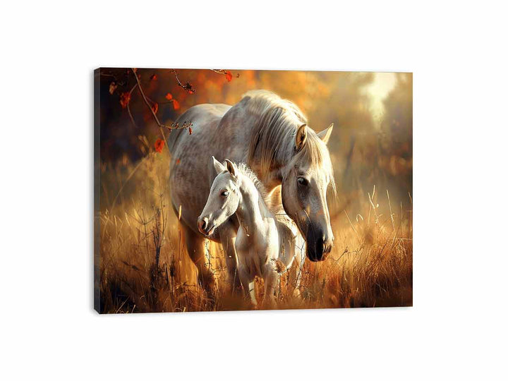 Horse Cute Baby Canvas Print