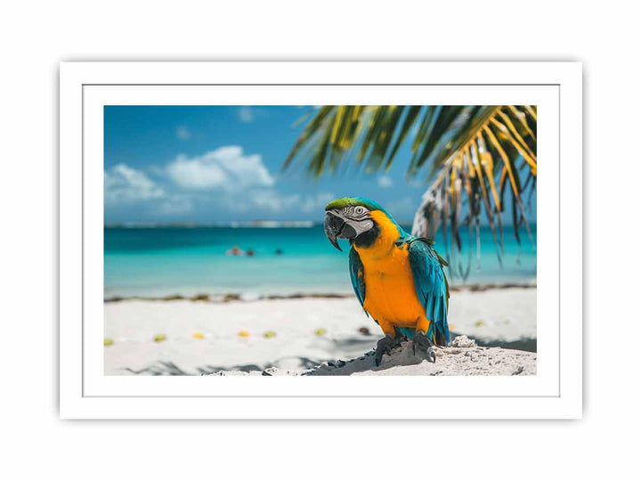 Tropical Parrot  Streched canvas