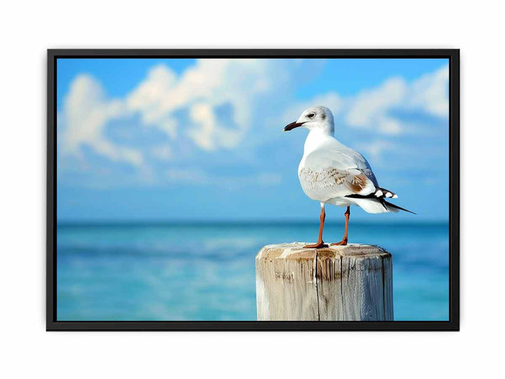 Seagull   Painting