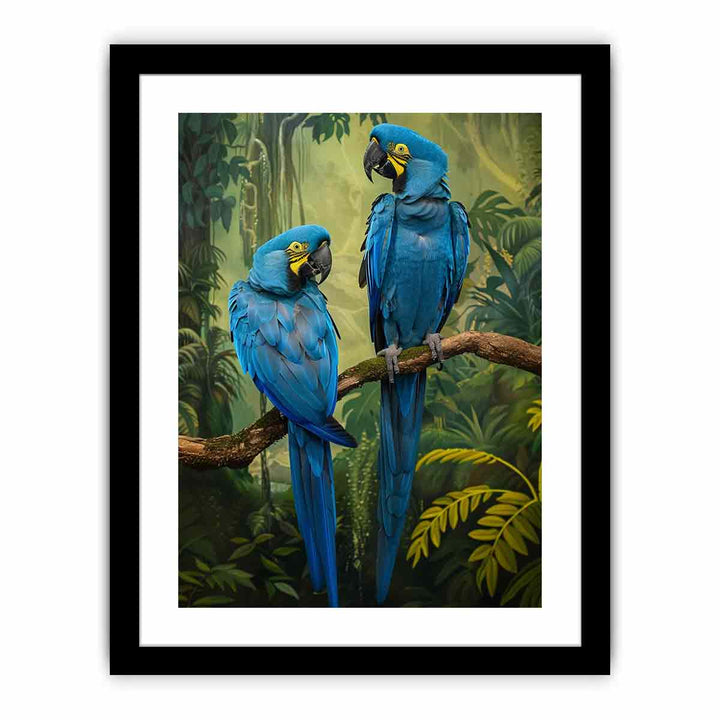 Blue Macaw  Art Print