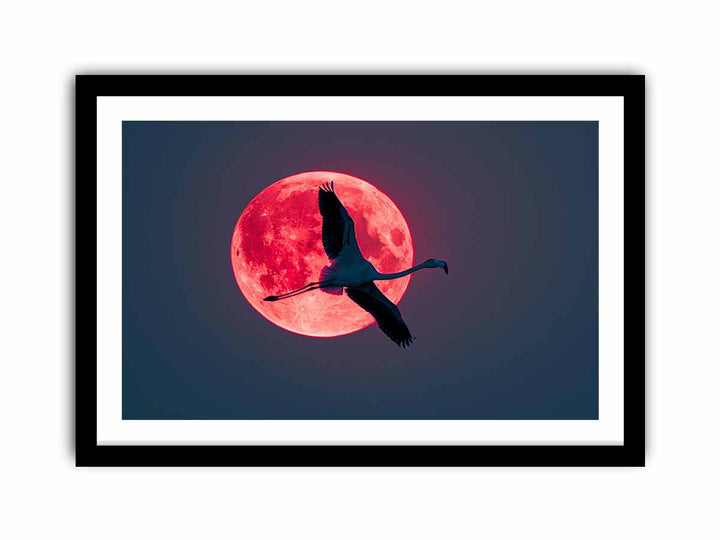 Flamingo   Art Print