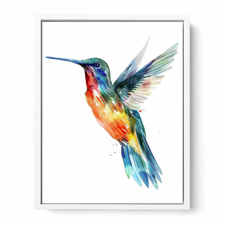 Hummingbird  Framed Print