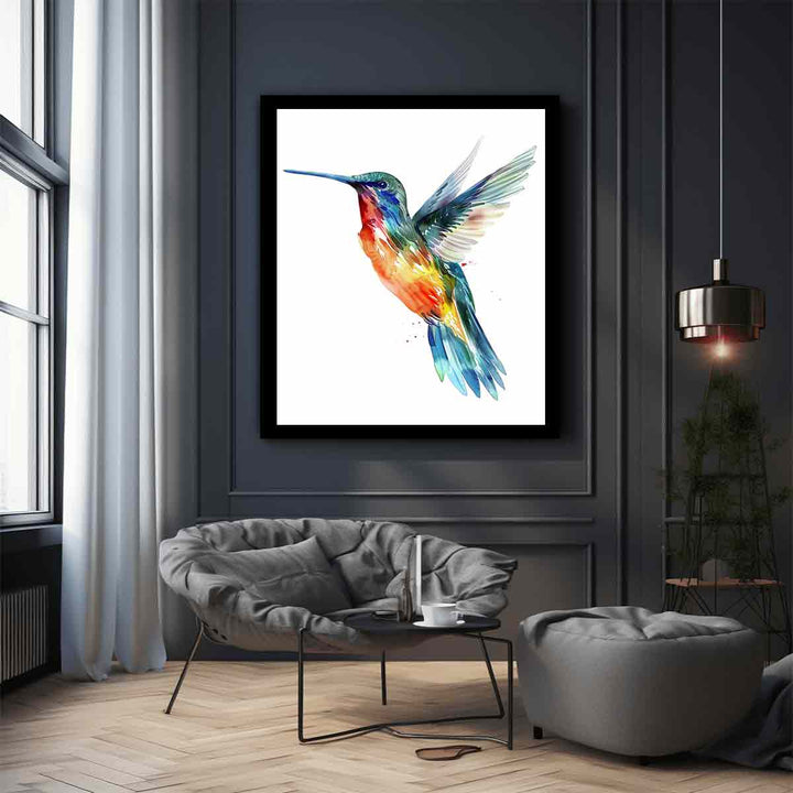 Hummingbird  