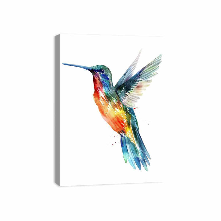 Hummingbird  Canvas Print