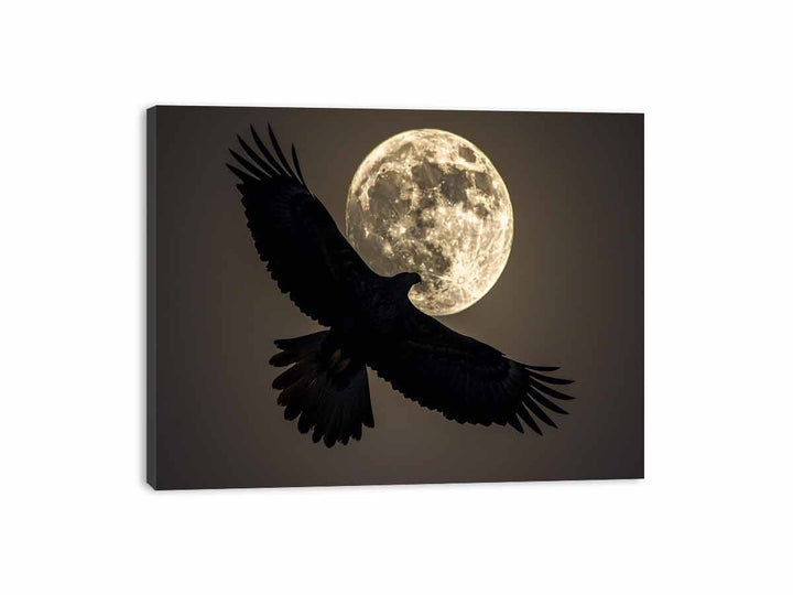 Eagle  Canvas Print