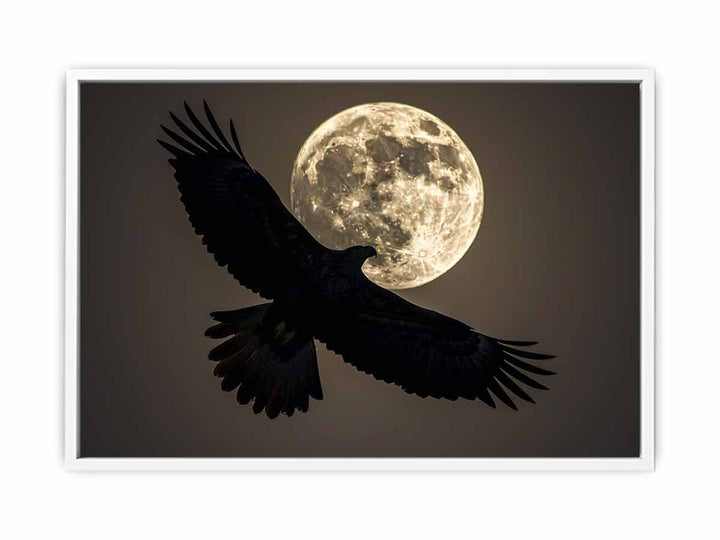 Eagle  Framed Print