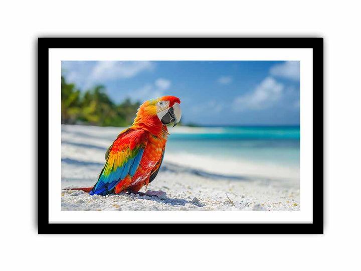 Tropical Parrot   Art Print