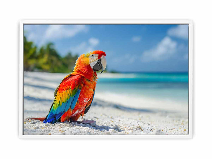 Tropical Parrot  Framed Print