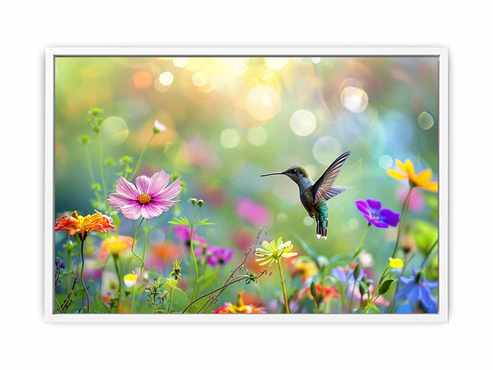 Hummingbird  Framed Print