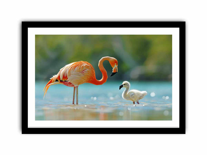 Flamingo Mother  Art Print