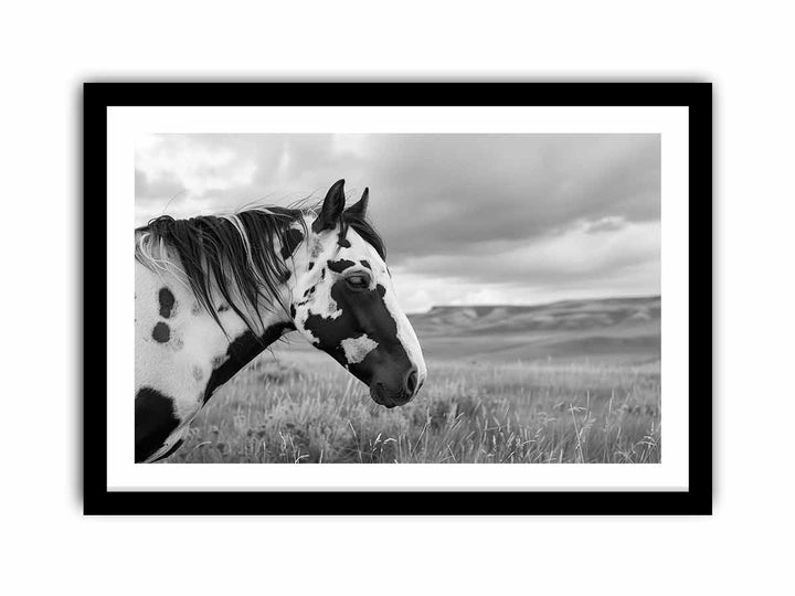 Horse  Art Print