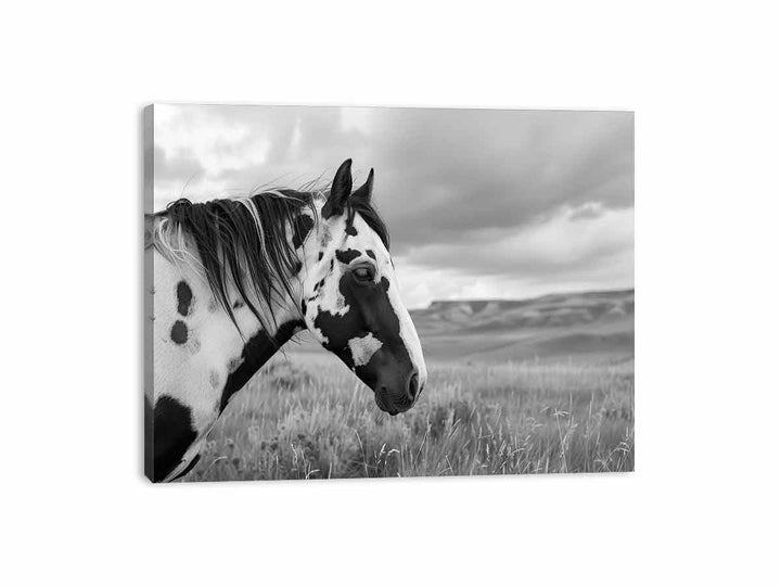 Horse Canvas Print