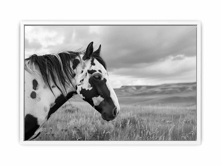 Horse Framed Print