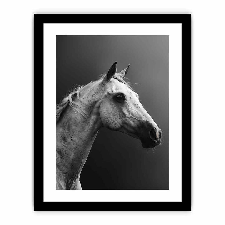 Horse  Art Print