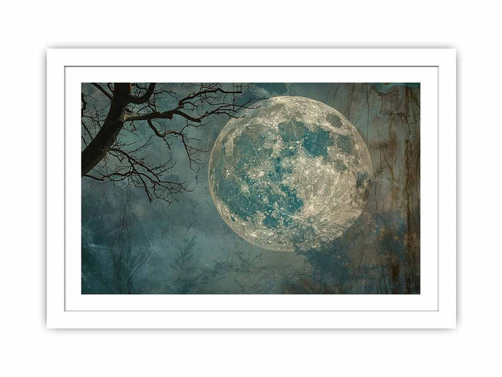 Moon  Streched canvas