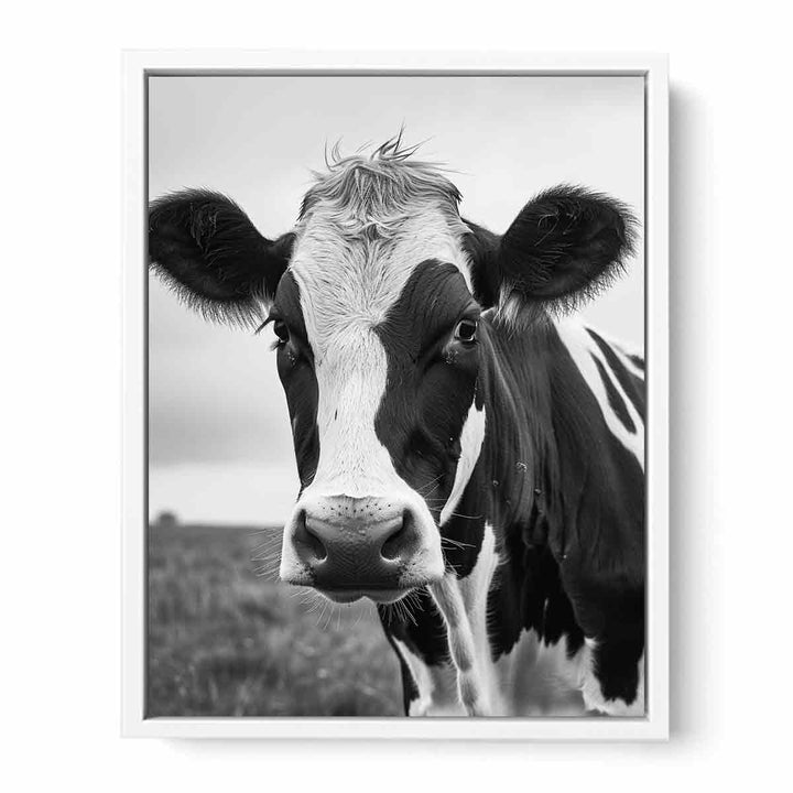 Cow Framed Print