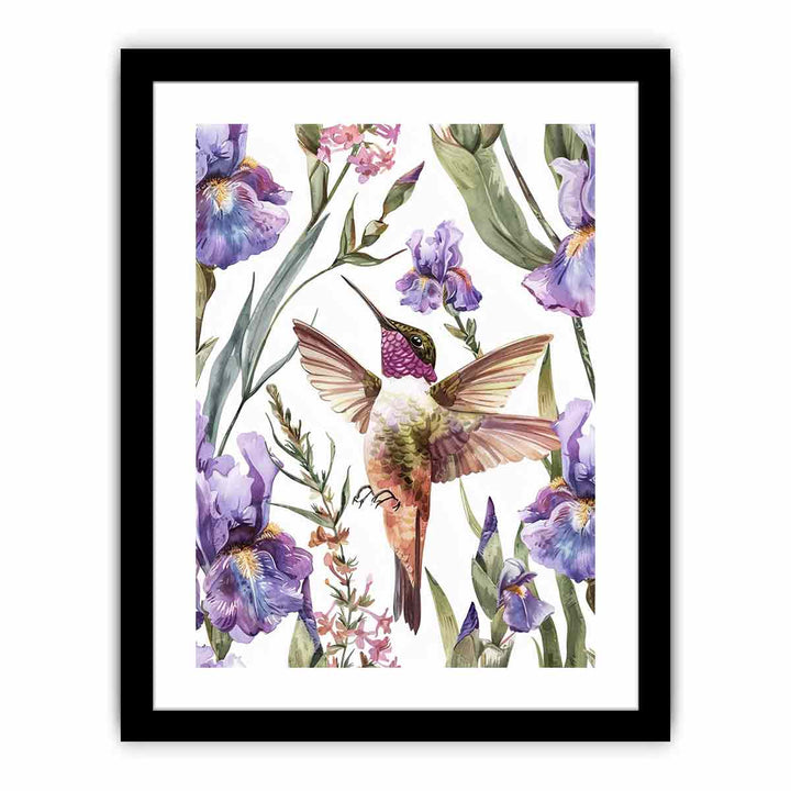 Hummingbird   Art Print