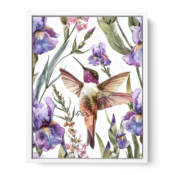 Hummingbird  Framed Print