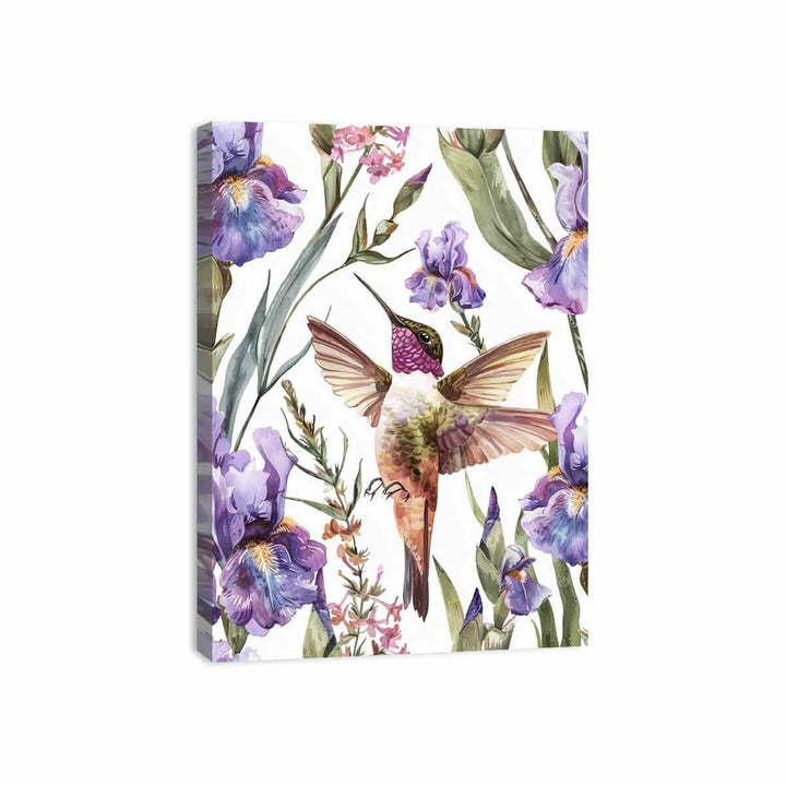 Hummingbird  Canvas Print