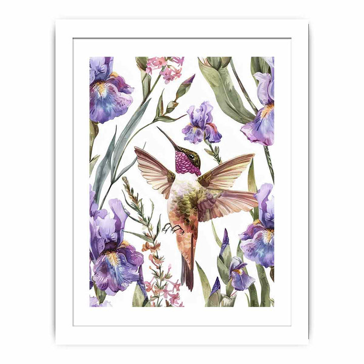 Hummingbird  Streched canvas