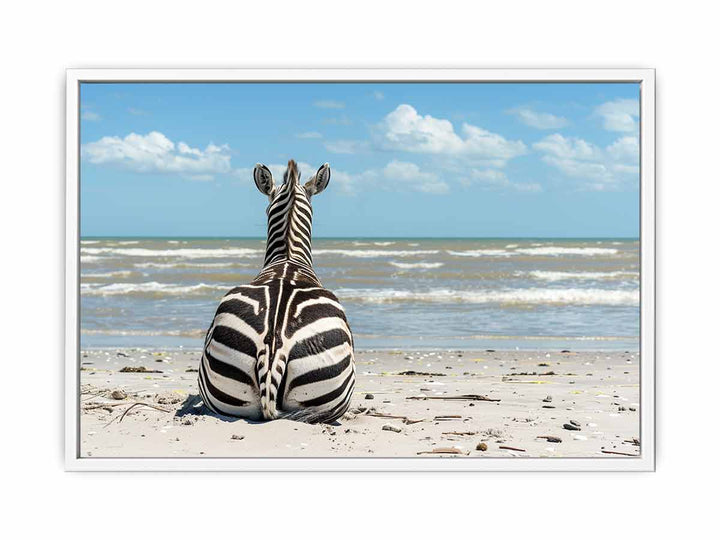 Calm Zebra Framed Print