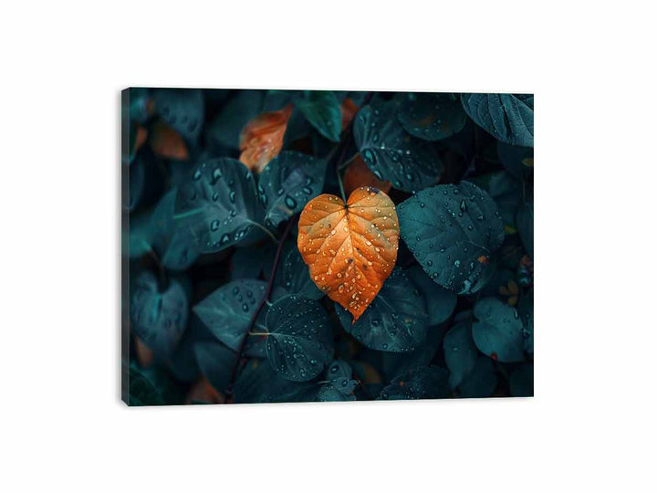 Love Leaf Canvas Print