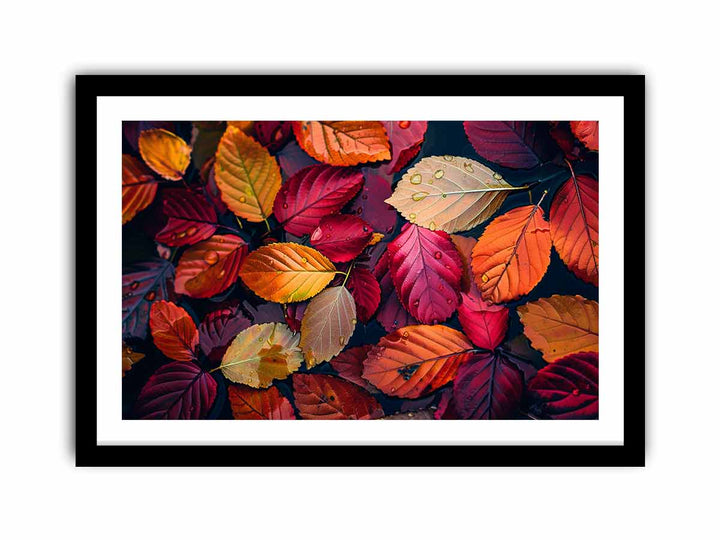 Beautiful Leaves   Art Print