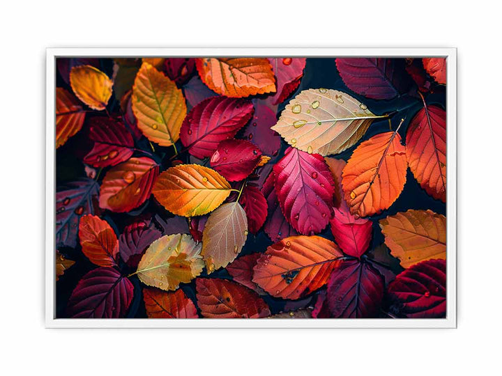 Beautiful Leaves  Framed Print