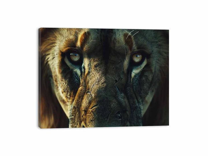 Lion  Canvas Print