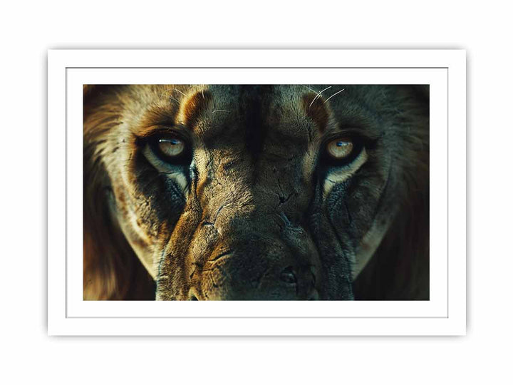 Lion  Streched canvas