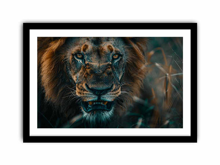 Lion   Art Print