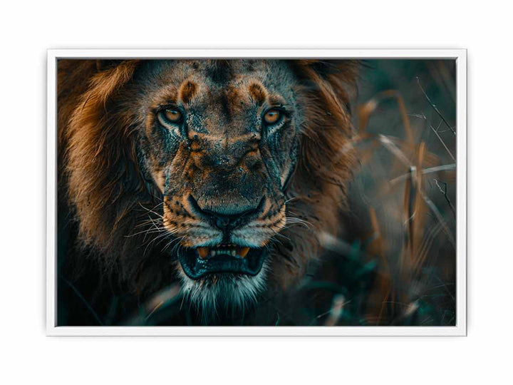 Lion  Framed Print