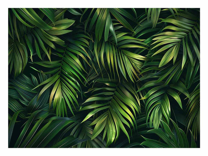 Palm Leaves 