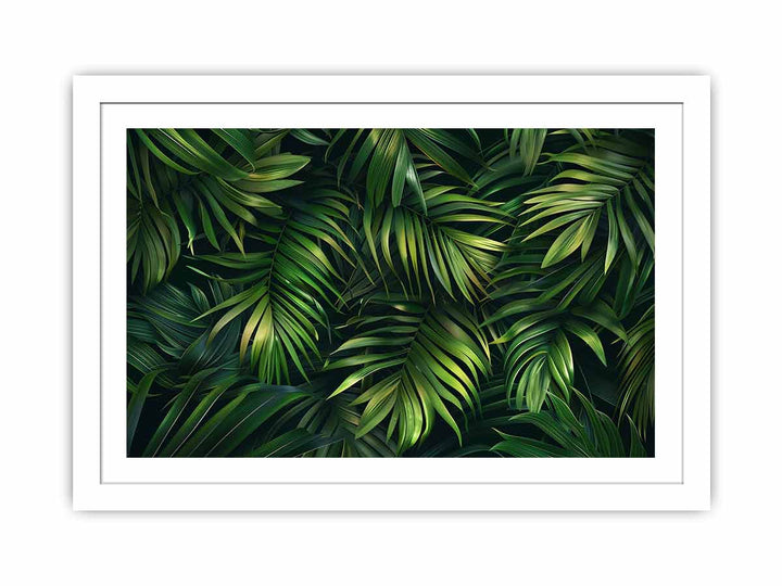 Palm Leaves  Streched canvas