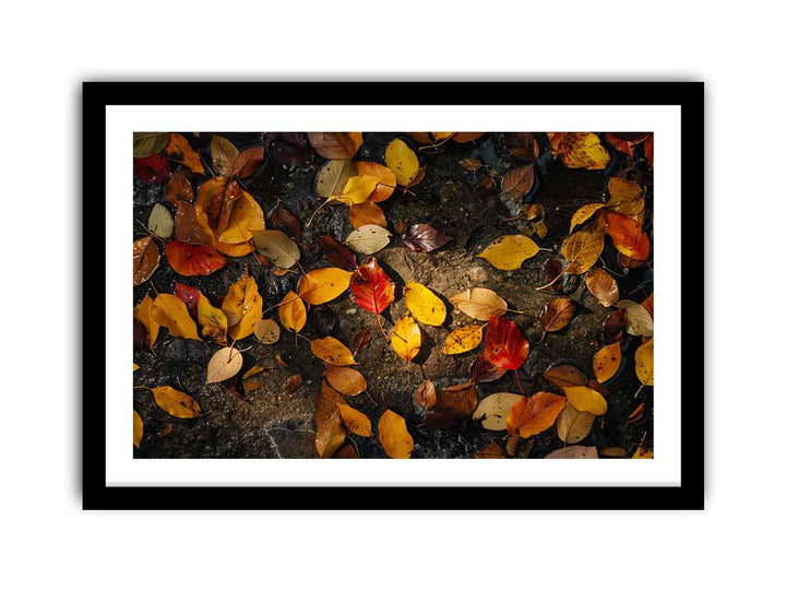 Autumn Leaves  Art Print