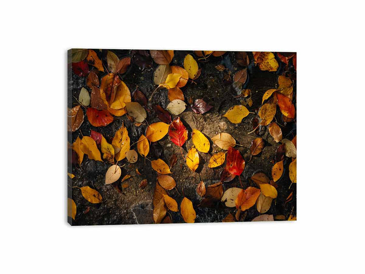 Autumn Leaves Canvas Print