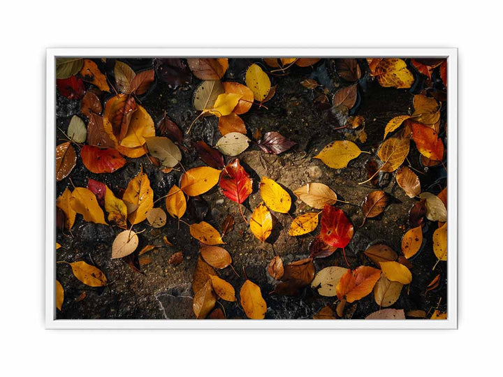 Autumn Leaves Framed Print