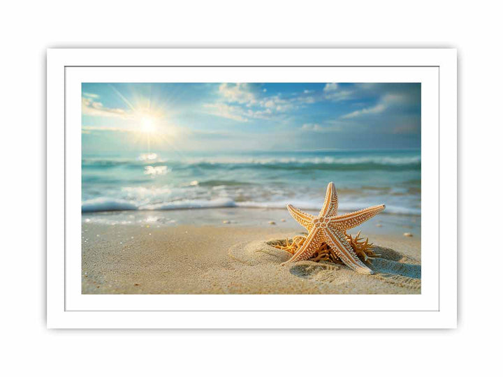 Starfish  Streched canvas