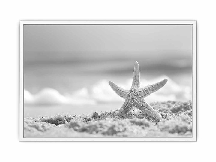 Starfish  Framed Print