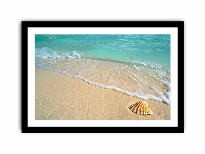 SHell   Art Print