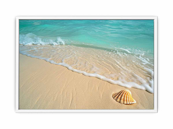 SHell  Framed Print