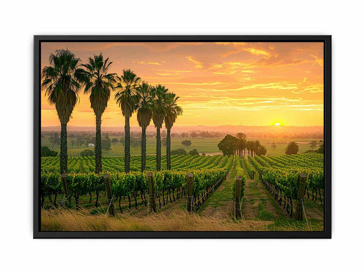 Adeliade  Vineyards  Painting