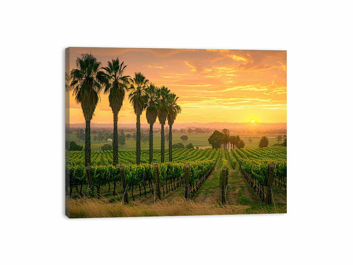 Adeliade  Vineyards Canvas Print