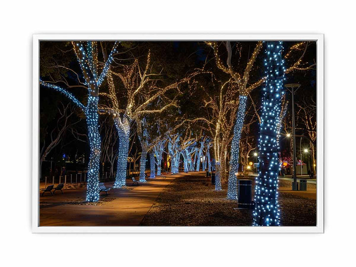 Lights  Framed Print